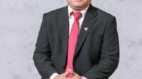Deputi Bidang Investasi BP Batam, Fary Djemy Francis